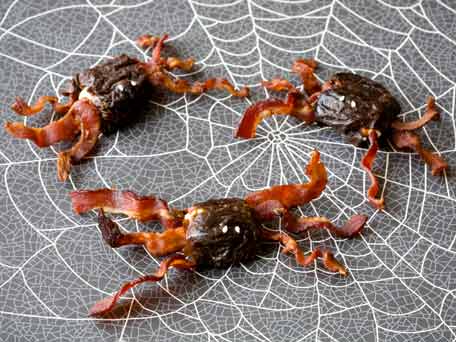 Spider Bites