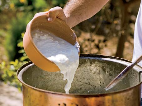 Homemade Greek Yogurt