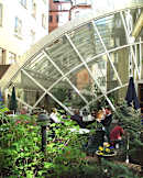 Central Hotel - Stockholm, Sweden - Garden