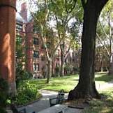 High Line Hotel - New York, New York - 