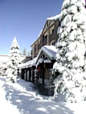 Tenaya Lodge at Yosemite - Fish Camp, California - 