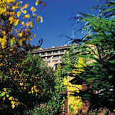 Orchards Inn of Sedona - Sedona, Arizona - 