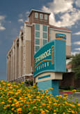 Staybridge Suites San Antonio Airport - San Antonio, Texas - 