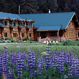 Bear Track Inn - Gustavus, Alaska - 