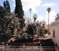 Hotel Fiori - Rome, Italy - 