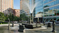 Montreal Montreal