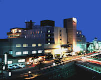 Hanabishi Hotel - Hakodate, Japan - 