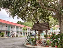 Super 8 Motel - Sarasota, Florida - 