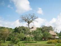 CottonTree Lodge - San Felipe, Belize - 