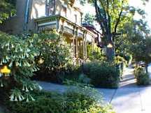 A Yellow Rose - San Antonio, Texas - 