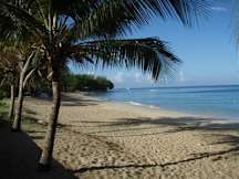 Bayfield House Bed & Breakfast - St Peter, Barbados - 