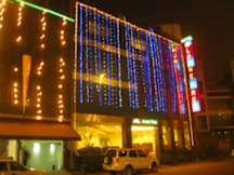 Alpine Tree - Boutique Airport Hotel - New Delhi, India - 