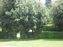 Darival Hotel - Rome, Italy - 