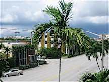 ChateauBleau Hotel - Coral Gables, Florida - 