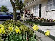 Alexandra Court Motel - Christchurch, New Zealand - 