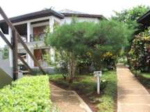 Negril Tree House Resort - Negril, Jamaica - 