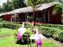 Flor de Tortuguero - Nature Hotel - Tortuguero, Costa Rica - 