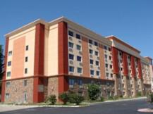 Blue Cypress - Arlington, Texas - 