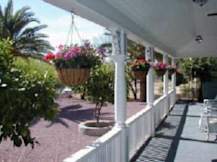 The Big Blue House - Tucson, Arizona - 