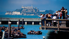 Alcatraz
