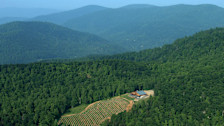 Monticello Wine Trail Festival