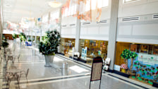 Selden Arcade