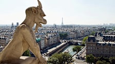 Notre Dame Gargoyle