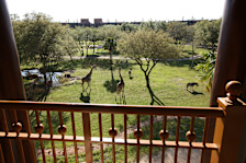Animal Kingdom Lodge