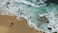 Acapulco Surfers