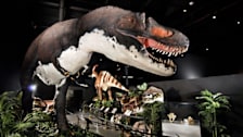 Dinosaur Walk Museum
