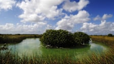 Sian Ka'an Biosphere Reserve