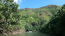 Kayak Wailua