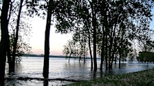 Mud Island River Park
