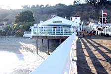 The Beachcomer