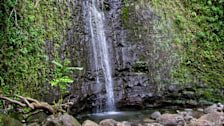 Manoa Falls