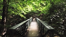 William B. Umstead State Park