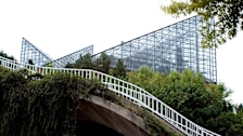 Tennessee Aquarium