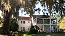 Harry P. Leu Gardens