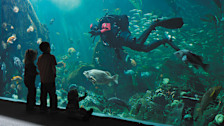 Pacific Canada Pavilion