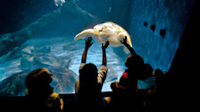 Aquarium and Marine Science Center