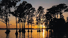 Cypress Gardens