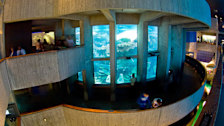 New England Aquarium