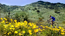 South Mountain