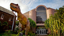 Bishop Museum