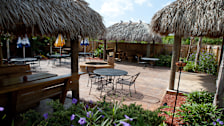 Jerry’s Pizzeria Tiki Bar & Grill