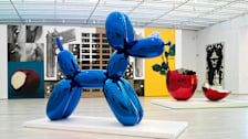 Broad Contemporary Art Museum
