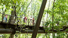 Atlanta Botanical Garden