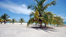 Saona Island