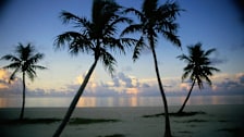 Beach Sunset