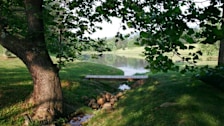 Charlottesville Pond